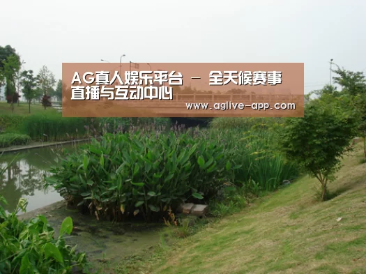 案例展示四(图1)