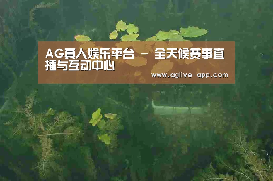 案例展示三(图1)