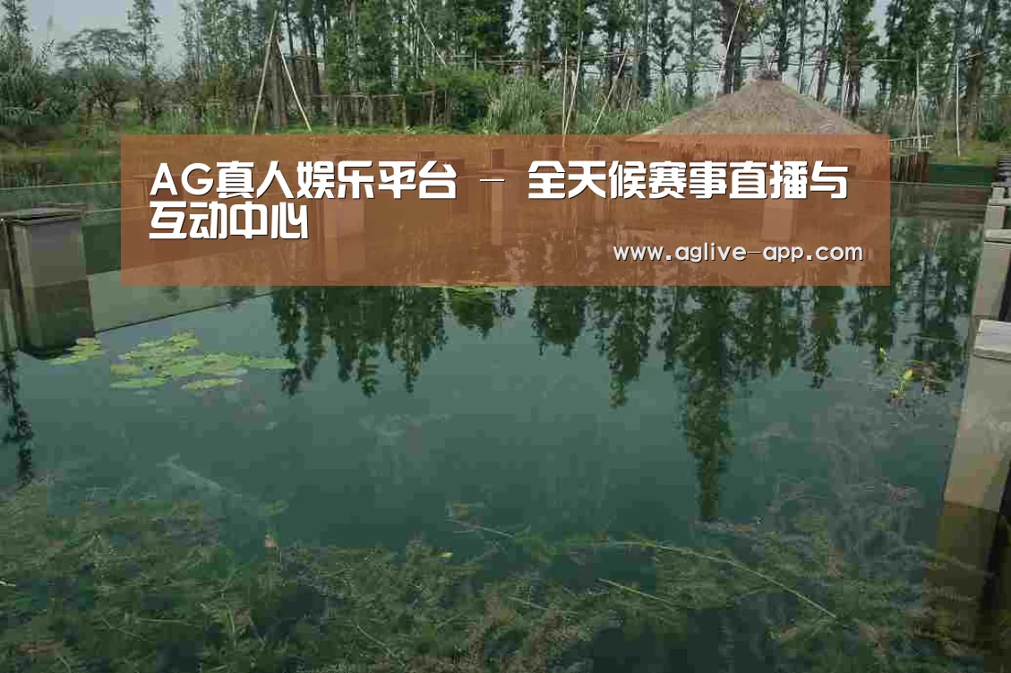 案例展示二(图1)