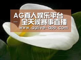 产品名称七