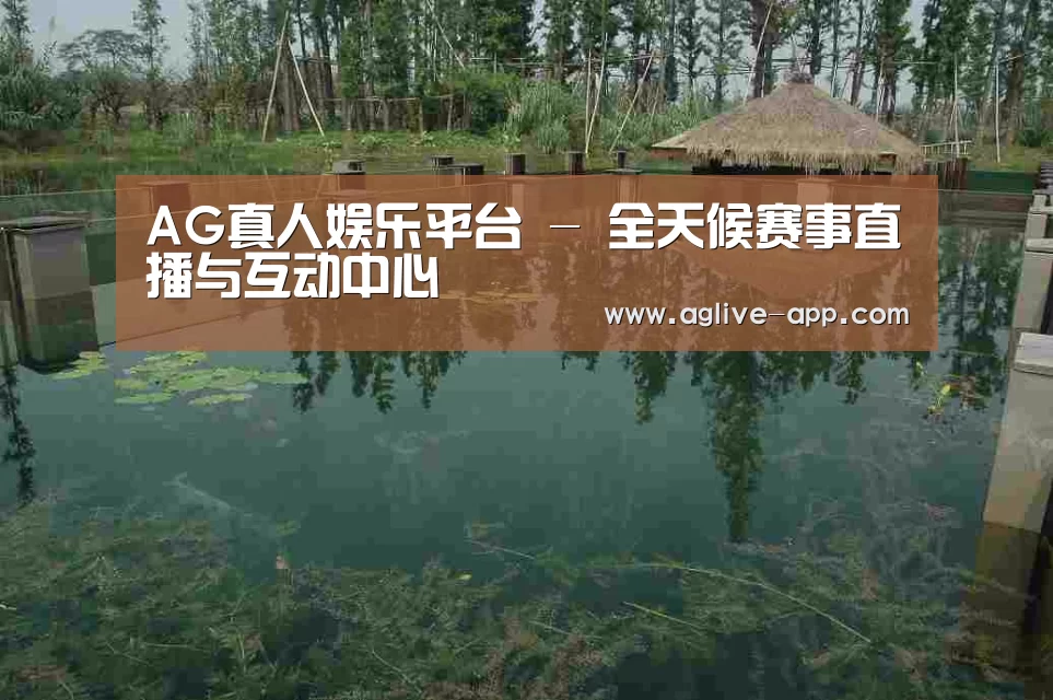 案例展示二