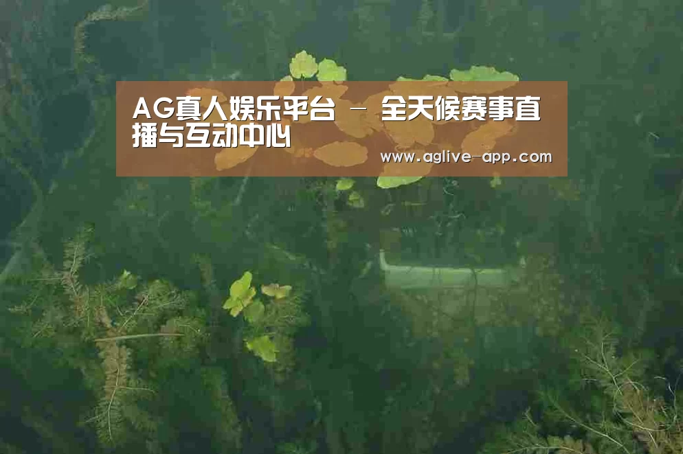 案例展示三