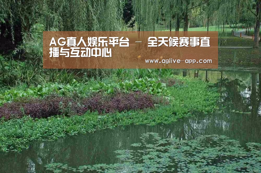 案例展示一