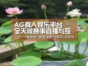 产品名称一
