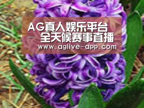 产品名称八