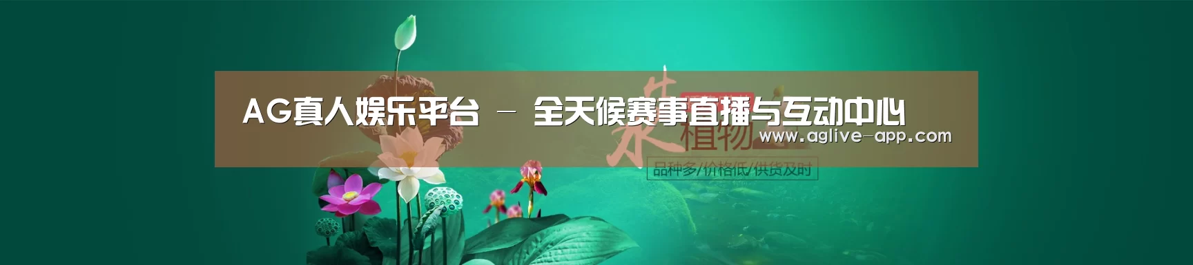 鲜花水草花卉网站模板