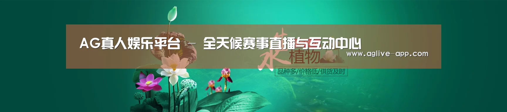 鲜花水草花卉网站模板