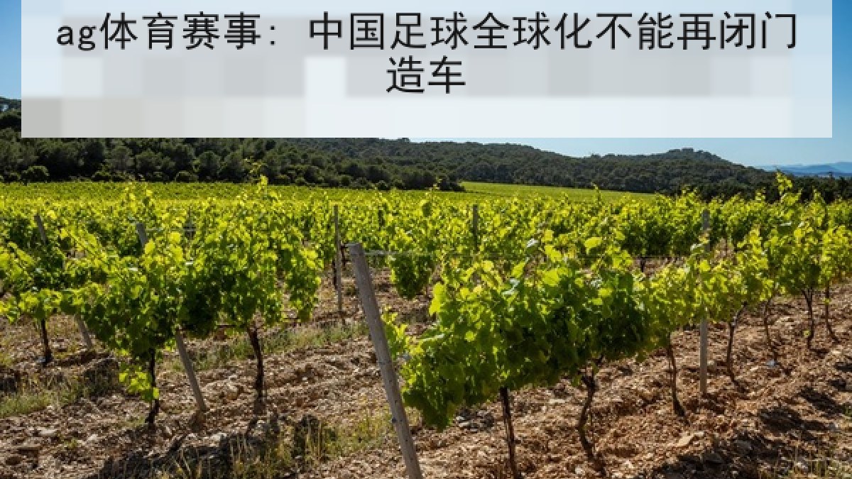 ag体育赛事: 中国足球全球化不能再闭门造车