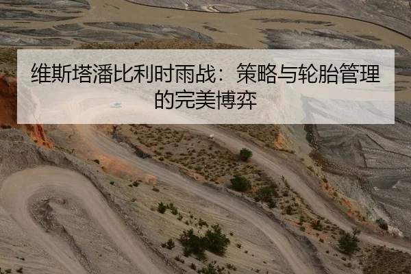 维斯塔潘比利时雨战：策略与轮胎管理的完美博弈