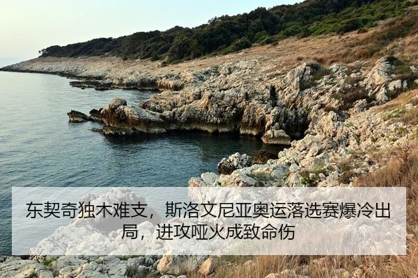dong-qi-qi-du-mu-nan-zhi-si-luo-wen-ni-ya-ao-yun-luo-xuan-sai-bao-leng-chu-ju-jin-gong-ya-huo-cheng-zhi-ming-shang-2-250.jpg